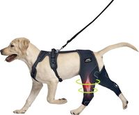 Genouillère pour chien pour support ACL déchiré avec attelle en métal Attelle de jambe pour chien avec support à charnière en métal pour un meilleur soutien et une meilleure récupération