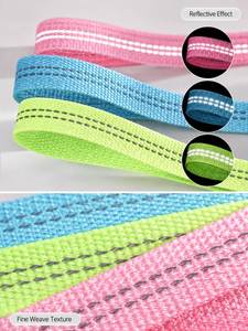 Correa de cincha reflectante de color personalizado, gruesa y acanalada, de imitación de nailon, para collar de perro, correa para mascotas, bolsos, prendas de vestir y accesorios textiles para el hogar. - Product Image 3