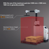 Machine à emballer de cas robotique de boîte alimentaire entièrement Portable empileur automatique boîtier de bras de Robot empileur Palettiseur de Robot