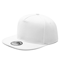 Casquettes de Baseball en Gros à 5 Panneaux, Visière Plate, Style Hip-Hop Street Américain pour l'Extérieur