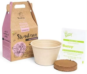 Kit de Cultivo de Hierbas y <span class=keywords><strong>Cactus</strong></span> para Interiores, Kit de Inicio de Cultivo de Hierbas con Maceta Biodegradable, Kit de Jardín Interior - Product Image 3