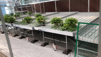 Système de table d'inondation pour banc roulant 4x8 à effet de serre hydroponique pour intérieur