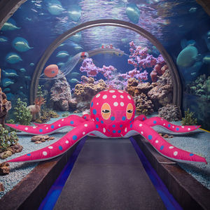 Décoration suspendue géante en forme de pieuvre gonflable à LED pour la décoration de scène de <span class=keywords><strong>club</strong></span>, de parc <span class=keywords><strong>marin</strong></span> - Product Image 3