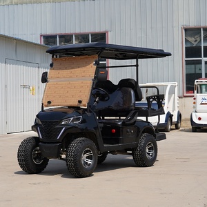 Voiture de golf <span class=keywords><strong>6</strong></span> places, moteur 5 kW, suspension indépendante, frein à disque, direction assistée, pneus de 14 pouces, voiturette de golf électrique - Product Image 5