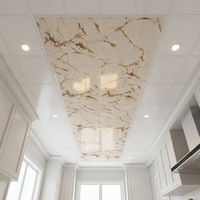 Plafond en PVC moderne pour salon, chambre, bureau à domicile, panneau mural décoratif 3D en PVC, panneau mural en plastique imperméable
