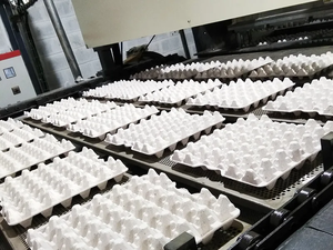 Máquina automática de alta velocidad para fabricar bandejas de huevos con 5-8 moldes, línea de producción de moldeo de pulpa para cartones y bandejas de huevos - Product Image 5
