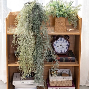 Simulation Tenture Murale Vieil Homme Barbe Homestay Décoration Rotin Feuilles Fond Disposition Murale Plantes Vertes - Product Image 4