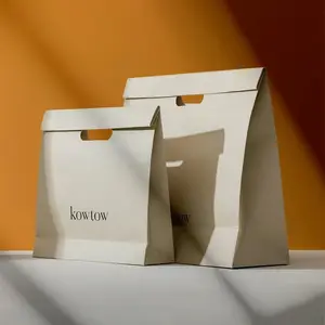 Grand sac en papier de luxe personnalisé imprimé de logo privé personnalisé en blanc