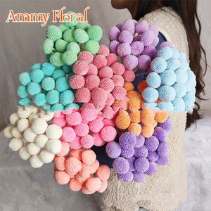 AM-PFKC06 Ammy 20 tête Golden Billy Button fleur préservée pour la décoration de mariage fleurs éternelles Craspedia Billy Ball - Product Image 2