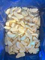 BRC-gecertificeerde IQF gepelde appelblokjes, diepvries, bulkverpakking voor grootschalige jam- en sapproductie met ODM/OEM-aanpassing