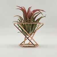Brûleur d'encens en métal de style arabe, Décoration de table pour salon de thé, Support pour brûleur d'arômes, Porte-plantes et support pour éponges de maquillage
