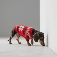 Joymay Pull de Luxe pour Chien, Conçu sur Mesure par un Designer, en Coton Confortable qui Tient Chaud, Pull Tricoté pour Chiot, Teckel, Vêtement Animal de Compagnie