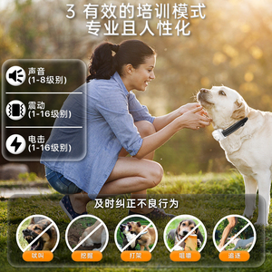 可充电电子狗无线围栏遥控训练项圈智能无线狗围栏电击项圈带 LED 灯 - Product Image 6