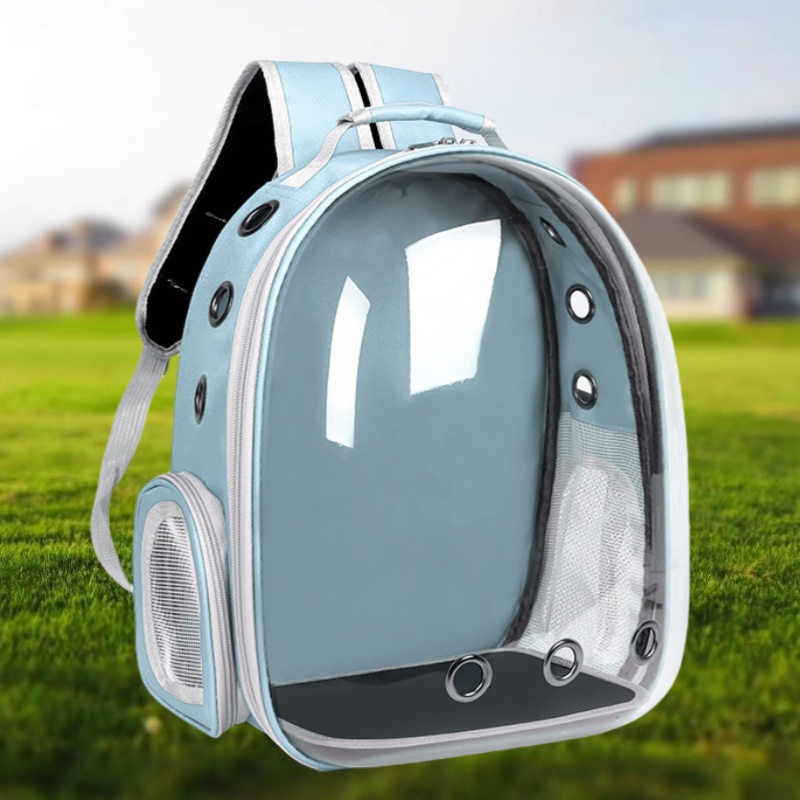 Mochila Portatil Bolso Para Llevar Conejo Mochilas Transparentes