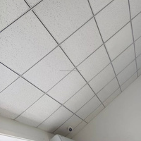 Plaques de plafond en PVC revêtues, dalles suspendues, design pour panneaux de magasin, chambre à coucher, salle de bain, salon, toit