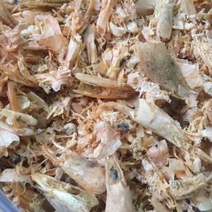 PROVEEDOR DE VIETNAM/CONCHA DE CAMARONES DE ALTA CALIDAD para ALIMENTACIÓN ANIMAL | MATERIAL NATURAL - Product Image 1