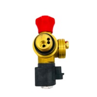 Vanne en laiton d'usine CTF-XD11D, électrovanne avec dispositif de sécurité PN20 DN5