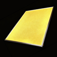 Plaque de guidage lumineux (LGP) en acrylique mince personnalisée avec découpe en V |   Panneau lumineux RGB moderne étanche IP65, haute luminosité, à intensité variable