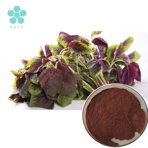 ผงสารสกัดจากใบอามารันธ์เกรดอาหารธรรมชาติ - Product Image 1