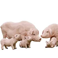 שרף חמוד פיברגלס גן חזיר פיסול חיים גודל בעלי החיים צלמיות חזיר פסל