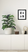 Cadre Boîte à Ombre en Bois Coloré pour Tableaux Muraux – Vente en Gros pour Décoration Murale