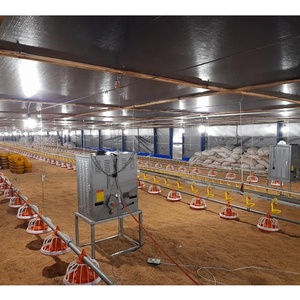 Новая автоматизированная система кормления и поения для птицеводства Bangchi с гарантией 1 год - Product Image 3