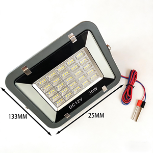 ไฟส่องสว่างแบบเหนี่ยวนำสำหรับภายนอกอาคาร กำลังไฟต่ำ 30w DC12v แบบพกพา กันน้ำ IP65 พร้อมสายทองแดง วัสดุ ABS สำหรับสวน ขายส่ง - Product Image 4