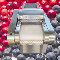 Meilleure vente mondiale : Machine de précision à aiguilles multiples pour la pénétration des fruits, pour une infusion de saveur plus rapide