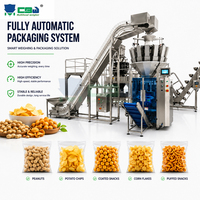Machine d'emballage et de pesage intégrée pour cacahuètes, snacks enrobés, chips de pommes de terre, snacks soufflés, contrôle PLC