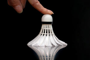 Los más vendidos en todo el <span class=keywords><strong>mundo</strong></span> Ventas directas de Origin Badminton Shuttlecock Shuttles Ball Goose Duck Feather LINGMEI-PRACTICE - Product Image 4