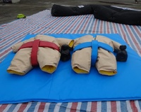 Jeux de sports de combat, combinaisons de lutte sumo