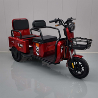 Triciclo Eléctrico de 3 Ruedas Directo de Fábrica, 60V 50Ah 800W, Biplaza, Rickshaw, Batería de Plomo-Ácido/Litio de 20Ah/32Ah, para Pasajeros y Carga
