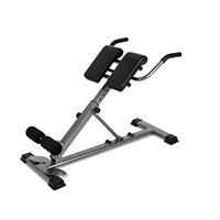 Chaise romaine réglable, banc d'hyperextension, banc d'extension dorsale, appareil d'entraînement abdominal, équipement multifonctionnel pour le renforcement du tronc, équipement de gym à domicile