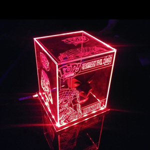 Caja de luz Led acrílica personalizada, soporte de exhibición, cubierta protectora transparente, personalizada