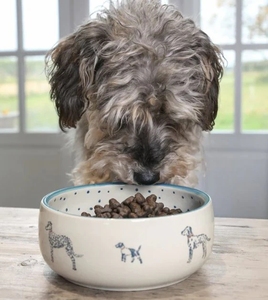 Joli bol d'eau pour chien Bol de conception de motif de chien tacheté pour animaux de compagnie Bol pour chien personnalisé une merveilleuse idée cadeau pour votre animal de compagnie bien-aimé - Product Image 4