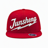 Casquettes Snapback de sport de voyage en plein air respirantes et imperméables en coton 100% avec motif de lettres 3D Hip Hop à la mode