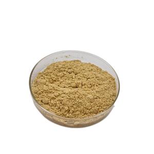 Poudre de graines de moutarde de haute qualité Poudre d'extrait de graines de moutarde pure - Product Image 4