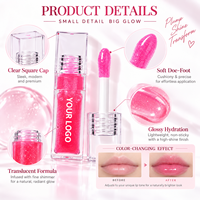 Huile à lèvres repulpante changeante de couleur 6ml RTS, hydratante, haute brillance, 9 styles, faible MOQ 1 pièce, vente en gros, logo personnalisé
