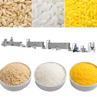 Ligne de production de riz fortifié FRK à double extrudeur entièrement automatique, grande capacité, haute efficacité, machines pour l'alimentation et les boissons