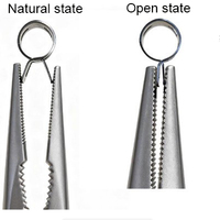 Fabricant OEM – Pièces d'emboutissage personnalisées en acier inoxydable 65Mn – Collier de serrage réglable en acier à ressort pour tubes