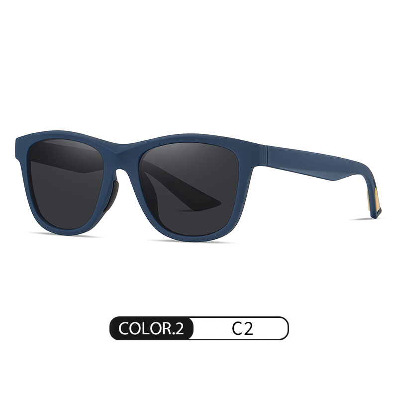 C2
