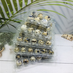 Scatola/contenitore d'imballaggio del vassoio dell'uovo di quaglia di plastica trasparente a 15 fori usa e getta di alta qualità - Product Image 5