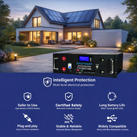 Batterie LiFePO4 51,2 V 100 Ah 5,12 kWh 48 V 24 V pour montage en rack, certifiée CE, avec RS485 et CAN, pour installateurs solaires, distributeurs EPC PV et alimentation d'usine