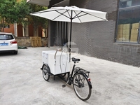 Chariot à glaces mobile en métal personnalisé, tricycle à glaces avec parasol
