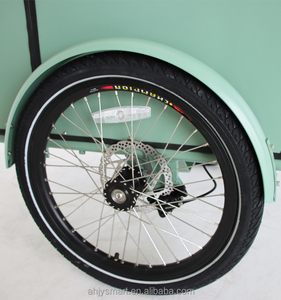 Vélo électrique <span class=keywords><strong>danois</strong></span> CE tricycle <span class=keywords><strong>cargo</strong></span> à pédale vélo <span class=keywords><strong>cargo</strong></span> familial néerlandais à 3 roues Bakfiet remorque vélo <span class=keywords><strong>cargo</strong></span> électrique avec panier avant - Product Image 4