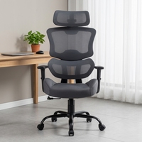 Silla de oficina ergonómica de malla al por mayor, silla de trabajo de respaldo alto con reposabrazos 1D, silla de ordenador a precio de fábrica para venta al por mayor