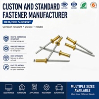 Rivets aveugles en laiton à extrémité ouverte M3.2 M4.0 M4.8 M6.4, rivets aveugles à tête dôme en cuivre avec mandrin en acier
