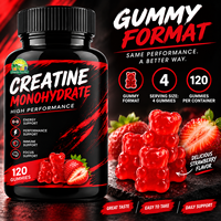 Créatine monohydrate en poudre, gommes à la créatine, vitamine 12, L-taurine, complément alimentaire pour le soutien de l'entraînement, logo personnalisé OEM
