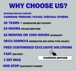 Generador de Arranque Automático de 750 kVA, 500 kW, 400 kV, 250 kVA, 150 kVA, 100 kW con Interruptor de Transferencia Automática - Product Image 6