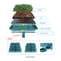 Matériau plastique écologique Sedum Green Roof Modular Tray System conteneur combiné de stockage et de drainage